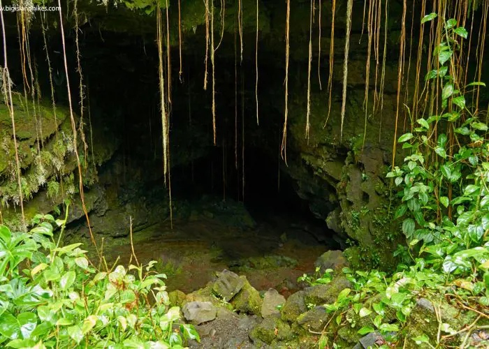 Midnight Visit To Kaumana Cave