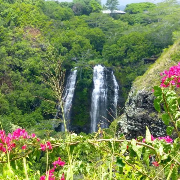 The 151-foot tall Opaekaa Fall is situated in Kauai