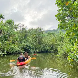 Just another couple canoeing in the jungle of Oahu