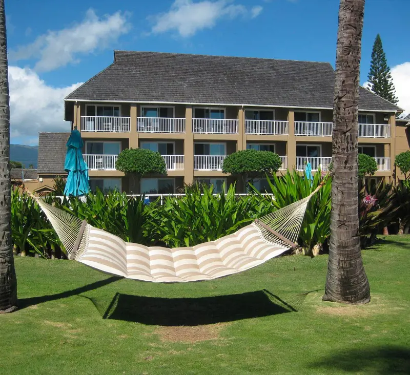 A hammock fixed between two coconut trees at The ISO hotel in Kauai