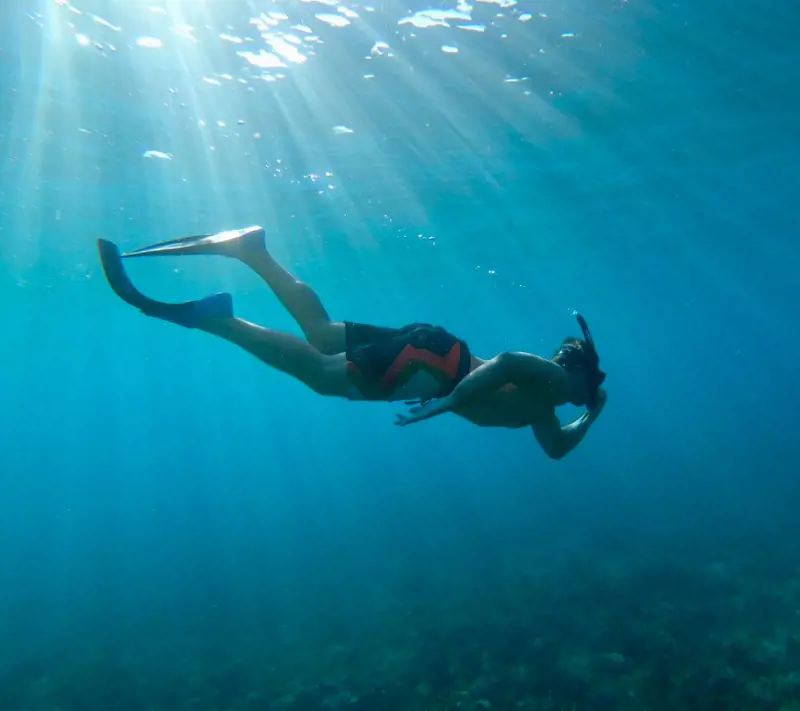Snorkel and explore the vast ocean and the vibrant marine life in Hawaii