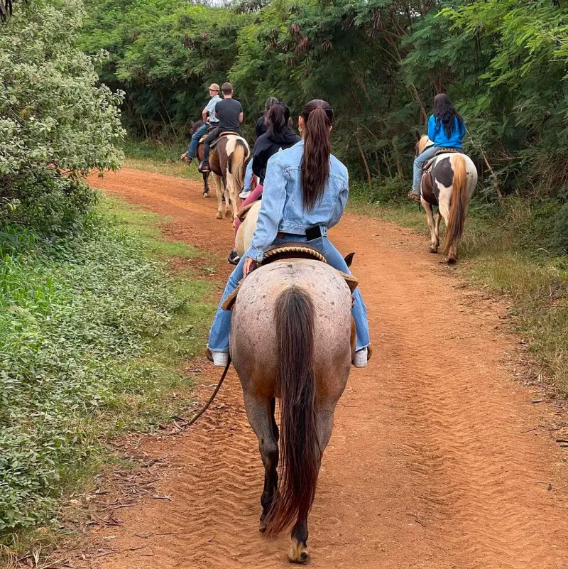 Tourists set out on a horseback riding tour on the North Shore countryside, Oahu