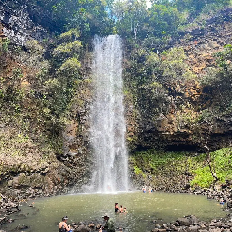 Top Things To Do In Kauai.webp