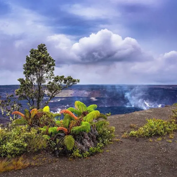 Visit active volcanoes At Hawaii Volcanoes National Park