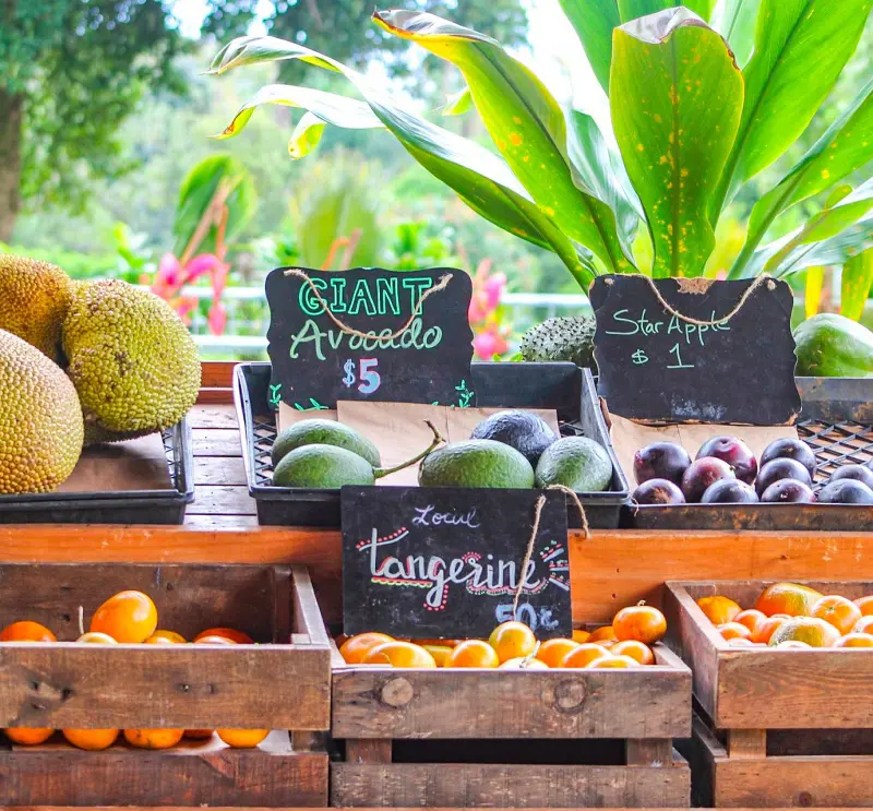 Local Hawaiian fruits on display at Hana Farms Roadside Stand