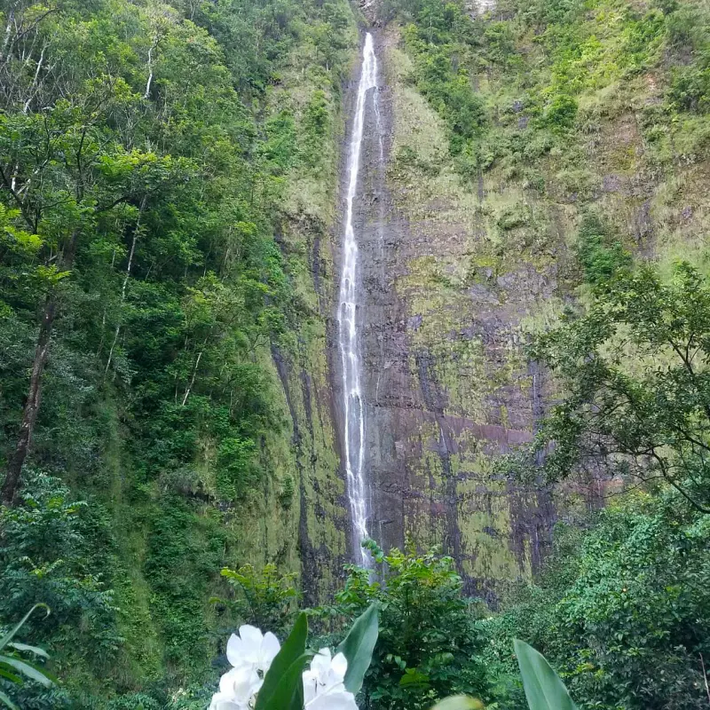 The scenic Waimoku Falls at Haleakala National Park