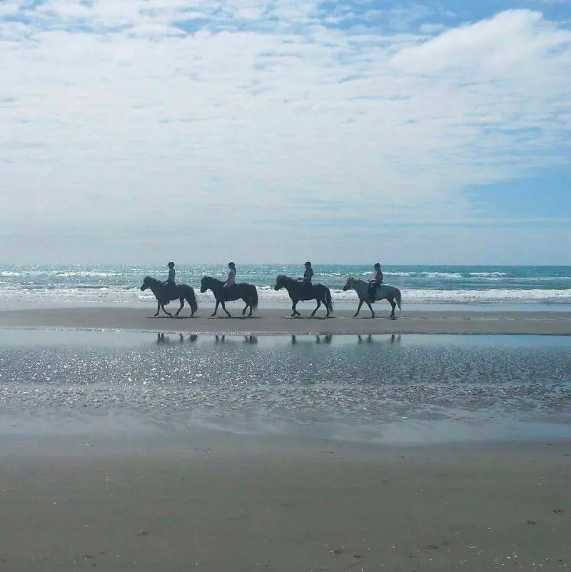 People enjoy horseback riding on the soft sandy beach at Spencer Beach Park