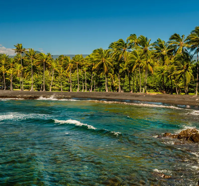 The black sand beach of Punaluʻu and the lush shore perched by tropical vegetation