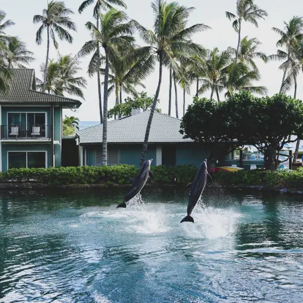 Spend your morning petting dolphins at The Kahala Hotel & Resort
