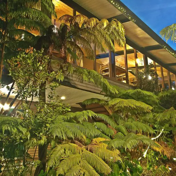 Volcano Inn sits in the heart of Hawaiian rainforest.